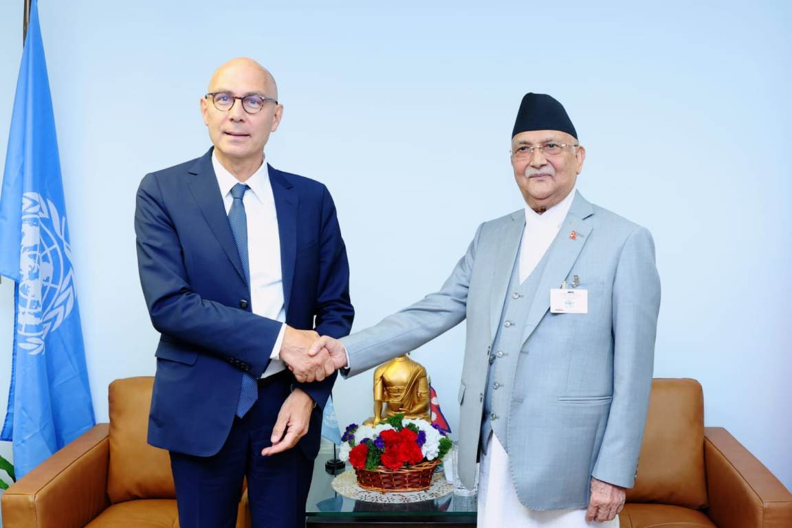 pm-oli-1.jpg